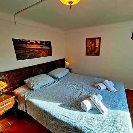 Amarilla Tatil Evi Callosa de Ensarriá